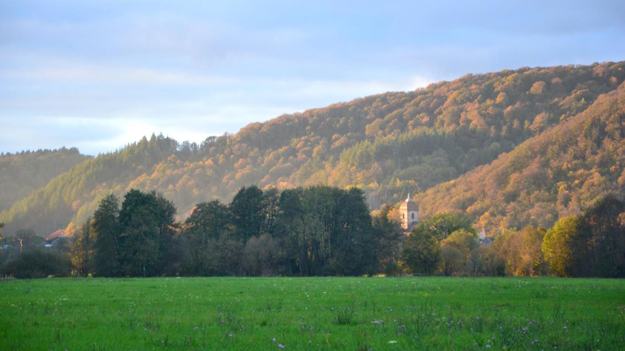 Chalet Des Aigrettes, Les 1000 Etangs La Voivre  Zewnętrze zdjęcie