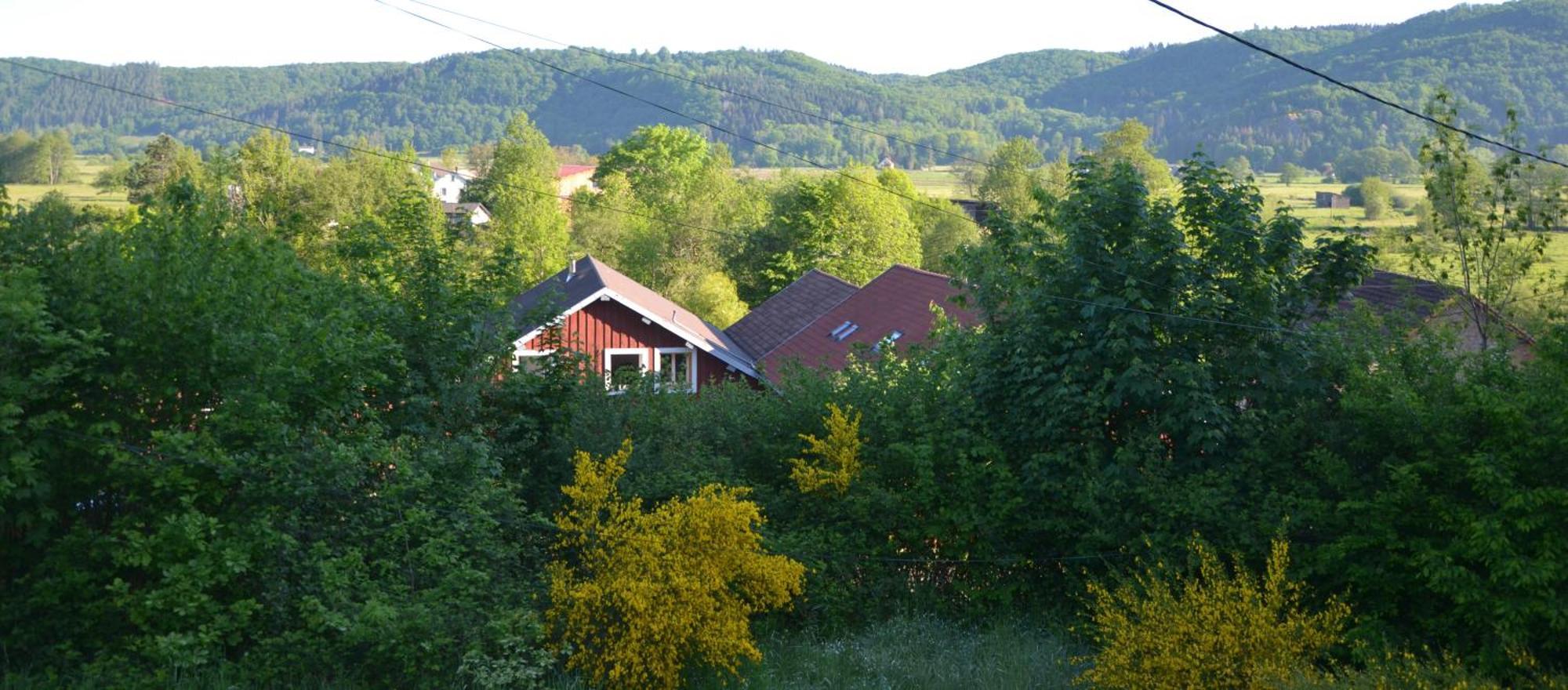 Chalet Des Aigrettes, Les 1000 Etangs La Voivre  Zewnętrze zdjęcie
